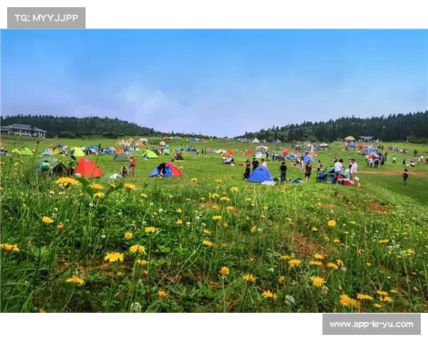 涪陵通过举办中美篮球赛推动体育与文化旅游融合实现消费增长